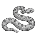 SideWinder